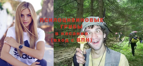 прущая мука Гусев