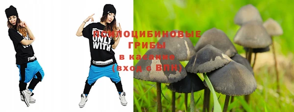 кристаллы Гусь-Хрустальный