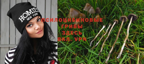MDMA Premium VHQ Гусиноозёрск