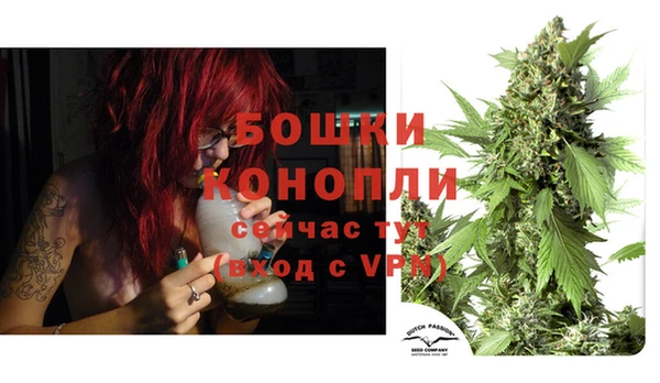прущая мука Гусев