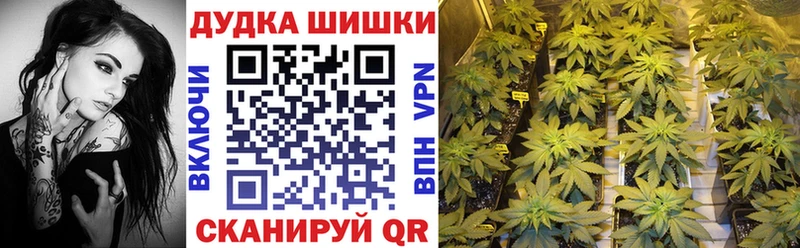 Бошки марихуана ГИДРОПОН  Красногорск 